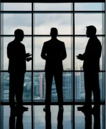Business professionals in discussion